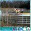 Galvanized steel pipe livestock metal fence panels horse fence panels