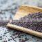mustard seed