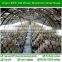 Best Selling Mushroom film , Greenhouse film for Mushroom Farm