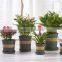 NEW Plastic Nursery 1 Gallon Trade POT
