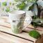 green cactus coffee mug