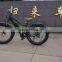 48v 750w Strong powered brushless hub motor electric bicycle fat tire electric bike