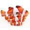 Simulation Plush Catnip Fish Toy for Cat Playing Training Tool Cats Pets Mint Fish Chew Toys Cat Rest Bite Pillow Scratch Board