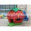 strawberry shortcake inflatable bouncer jumping bouncy castle bounce house