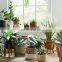 100% nature Rattan Plant Stand rustic Plant Holder Unique Wicker Flower Pot Holder Hot Sale Wholesale