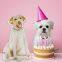 4D Cartoon Puppy Balloons Cute Dog Paws & Dog Bone Balls Kids Toys Pet Dog Birthday Party Decorations Supplies Air Globos