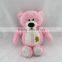 Plush Pink Bear Toy with Dark Pink Scarf / Plush Bear Toy Sitting High 30cm/Soft Stuffed Bear with White Stomach
