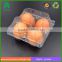 Customized PVC plastic foldable egg box