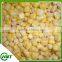 Frozen Iqf Sweet Corn Kernel In China