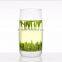 Chinese Wholesale Natural Form Green Tea