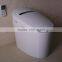 Automatic toilet