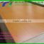 High quality 1830*3660mm big size mdf board from china