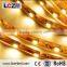 IP20 LED strip Flexible rope CE/RoHS certificate Factory sale