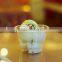 Cup And Saucer Tableware Pet Plastic Type Mini Dessert Cup Disposable Beverage Use