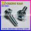 Customized Phillips Pan Head Washer SEMS Fastener