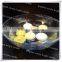 Manufacturer supply hot sale multi-shape floating candle