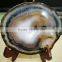 Agate stone slices ornaments for home decor
