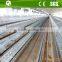 poultry farm using hot galvanized pullet rearing/growing cages