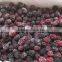 IQF Blackberry with good quality for sale
