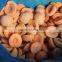 IQF frozen apricot half with good quality for sale