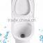 Bathroom Sanitary Items Self Clean Toilet