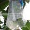 Biodegardable nonwoven fabric, pp mulch film, pp spunbond mulching film fabric