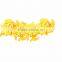 Vacuum Freeze Dried Jackfruit tin can HALAL , HACCP , ISO 22000 , KOSHER and GMP Certified