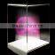 2015 Hot Sale Flexible Acrylic Sheet /PLexiglass Sheet