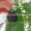 cheap rfid tags passive rfid tag 125khz / 13.56mhz access control rfid card