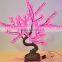 Various kinds of Indoor decorative led bonsai tree light