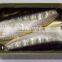 Canned Seafood Canned Fish 125g /90 Canned Sardine (pilchard) in Veg Oil