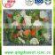 Chinese bulk high quality new crop frozen mixed vegetables