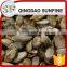 High quality snow white pumpkin seed kernels with low price