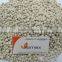 VIETNAM HIGH QUALITY WHITE PEPPER