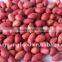 raw red skin peanuts of shandong province