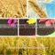 Agrolink amino acid plus humic acid granular for hot sale