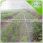 inner inlay drip irrigation belt with continuous flat dripper