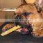 Automatic Twist Treats Dental Care Pet Dog food manufacturing equipment
