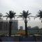 Hot sale artificial palm tree with new design and real touch,indoor or outdoor
