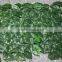 hot sale in China long life plastic boxwood mat with plastic net
