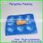 pengzhou plastic disposable frozen food tray