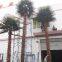 new natural design high artificial palm tree with true palm tree bark