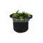factory supply customized size felt grow bag for plants with handles