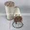 truck engine Diesel water separator Fuel filter FS20202 2020PM P552020