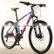 Female Male Factory Mountain Bicycle