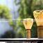 New Japanese Bamboo Chasen Set (Green Tea Whisk) for preparing Matcha Green Tea