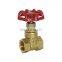 Thread end Brass Gate Valve 1 inch