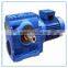 Model FF 127 Parallel Shaft Helical Gearbox with DC motor