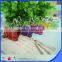 New products binder clip customized shape handle