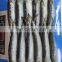 Good Quality BQF Frozen Sardine Fish for Export